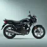 Honda Shine 125—₹3,199 EMI पर 65KM/L माइलेज, डेली कम्यूट के लिए फिट
